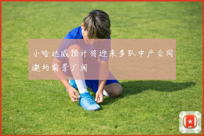 小哈达威预计将迎来多队中产合同邀约前景广阔
