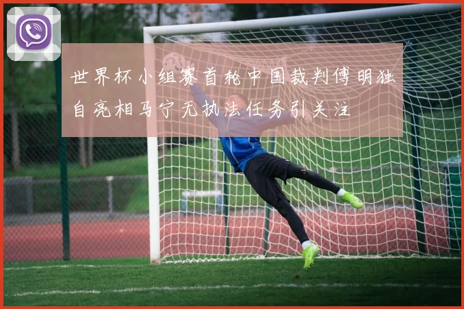 世界杯小组赛首轮中国裁判傅明独自亮相马宁无执法任务引关注
