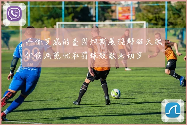 平价罗威的奎因坦斯展现野猫天赋但伤病隐忧和罚球致敬米切罗