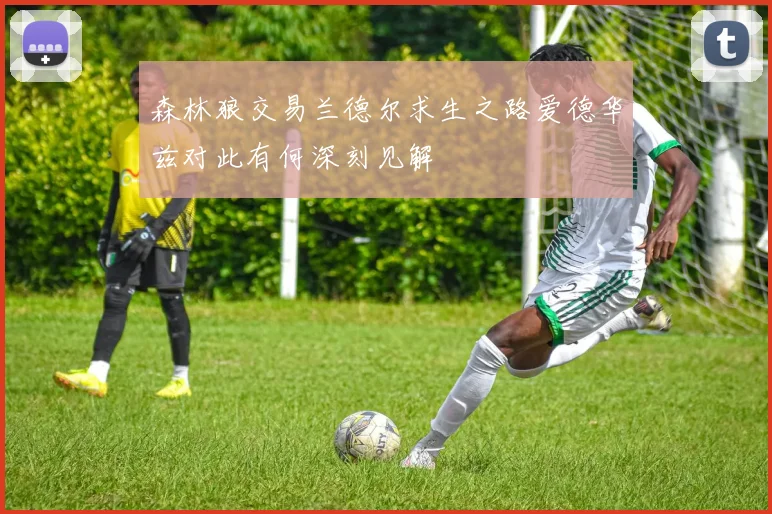 森林狼交易兰德尔求生之路爱德华兹对此有何深刻见解