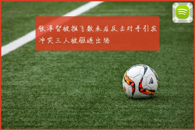 张淳智被推飞数米后反击对手引发冲突三人被驱逐出场