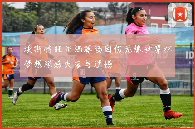 埃斯特旺泪洒赛场因伤无缘世界杯梦想深感失落与遗憾