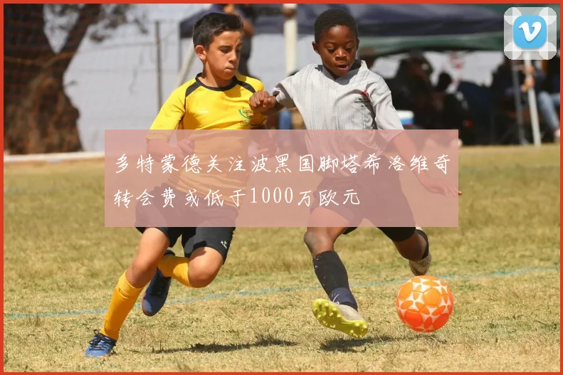 多特蒙德关注波黑国脚塔希洛维奇转会费或低于1000万欧元